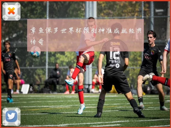 章鱼保罗世界杯预测神准成就经典传奇