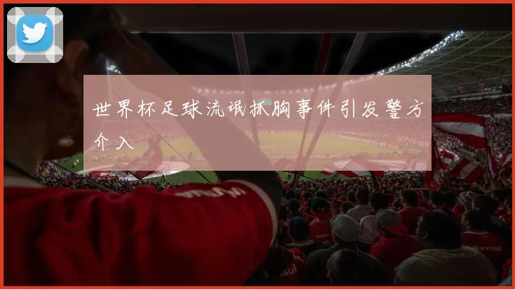 世界杯足球流氓抓胸事件引发警方介入
