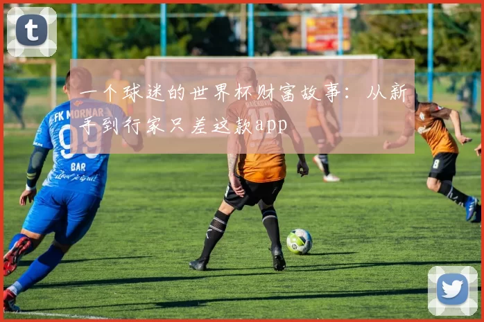 一个球迷的世界杯财富故事：从新手到行家只差这款app