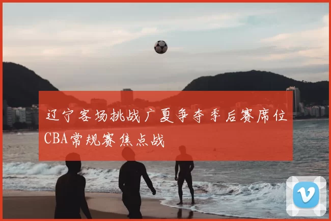 辽宁客场挑战广夏争夺季后赛席位CBA常规赛焦点战