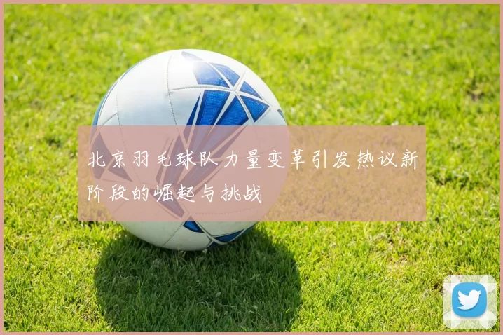 北京羽毛球队力量变革引发热议新阶段的崛起与挑战