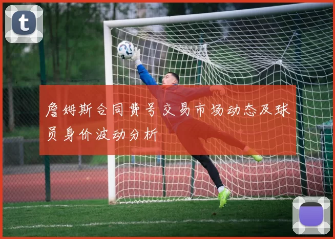 詹姆斯合同费号交易市场动态及球员身价波动分析