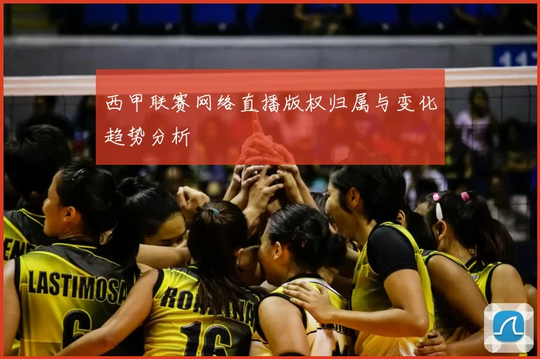 西甲联赛网络直播版权归属与变化趋势分析