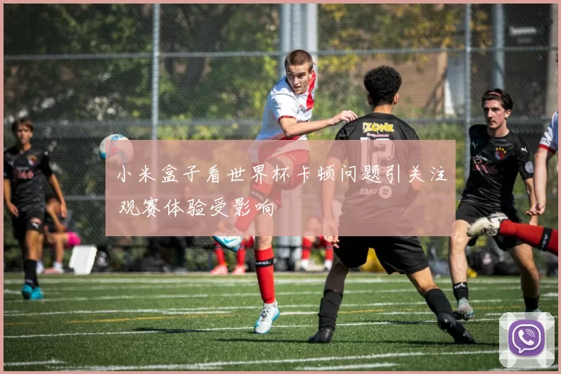 小米盒子看世界杯卡顿问题引关注 观赛体验受影响